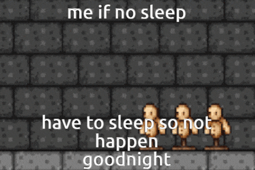 a screenshot of a video game with the words me if no sleep have to sleep so not happen goodnight