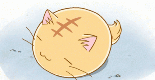 Poyopoyo Cat GIF - Poyopoyo Cat Wake Up GIFs
