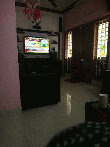 Television Living Room GIF - Television Living Room Watching GIFs