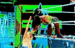 two women are wrestling in a ring with a green sign that says ' wwe ' on it