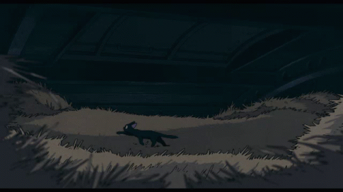 Kikis Delivery Service Cat GIF - Kikis Delivery Service Cat Jump GIFs