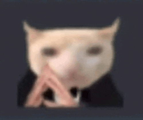 a close up of a cat 's face with its hands folded in front of its face .