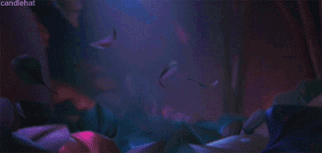 a purple background with the word candlehat at the top