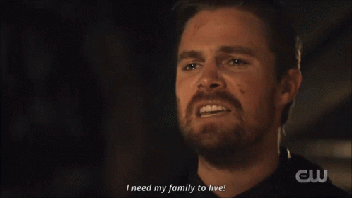 Stephen Amell Oliver Queen GIF - Stephen Amell Oliver Queen Family GIFs