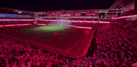 a stadium with a lot of people in it