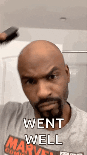 a bald man with a beard is holding a brush in his hand and says went well .