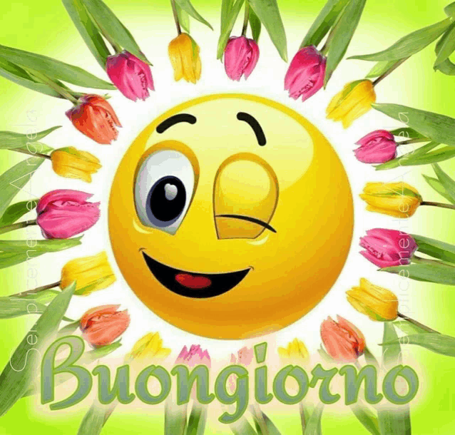 a smiley face is surrounded by flowers and the word buongiorno is below it