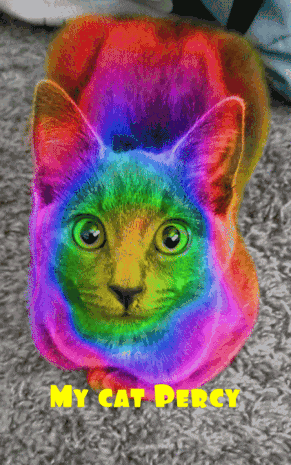a rainbow colored cat with the words my cat percy above it