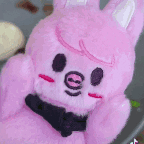 a close up of a pink stuffed animal with a smiley face .