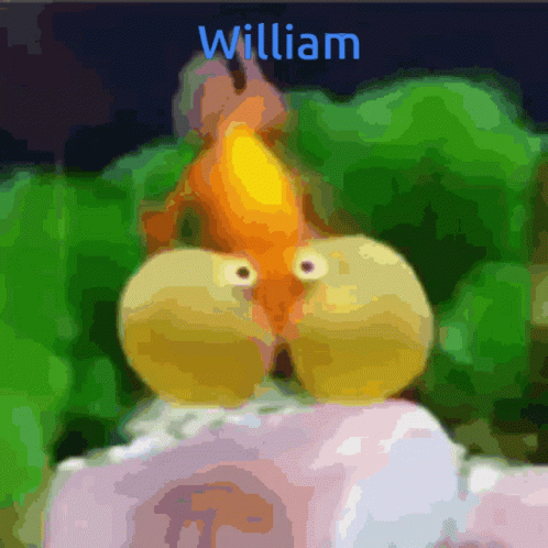 William Seal Central GIF - William Seal Central GIFs