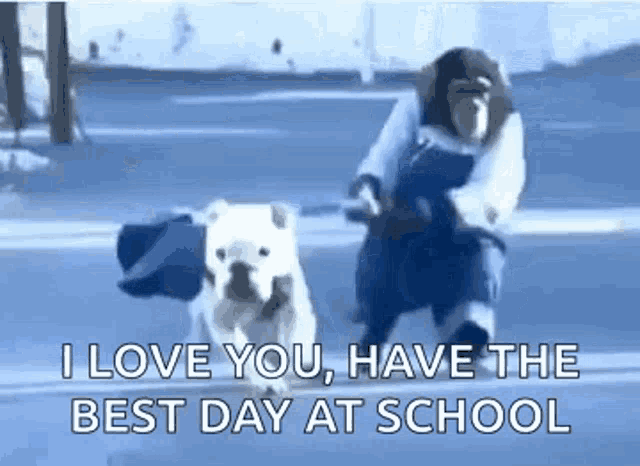 a monkey is riding a motorcycle next to a bulldog .