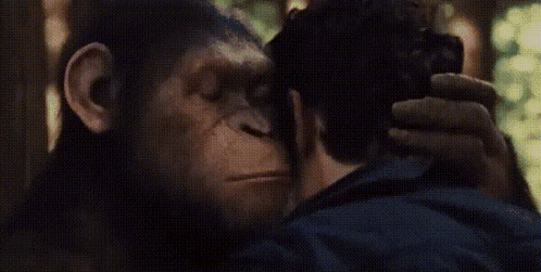 a man and a monkey are looking at each other in a dark room .