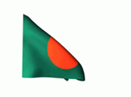 Flag Waving Flag GIF - Flag Waving Flag Bangladesh GIFs
