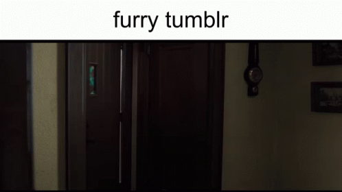 Tumblr Furry GIF - Tumblr Furry Irishman GIFs