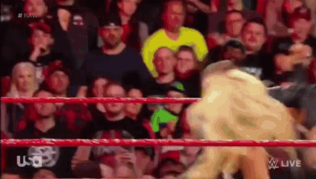 a wrestling match is taking place in front of a crowd of people .