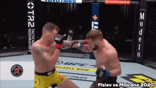 two men are fighting in a boxing ring in a ufc fight .