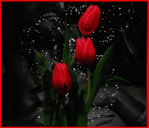 a woman is behind a bunch of red tulips