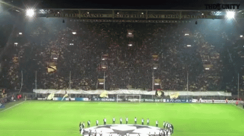 Dortmund Borussia GIF - Dortmund Crowd Cheer GIFs
