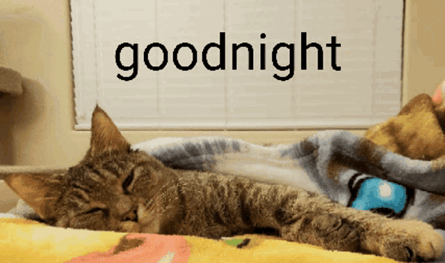 a cat laying under a blanket with the words goodnight written above it