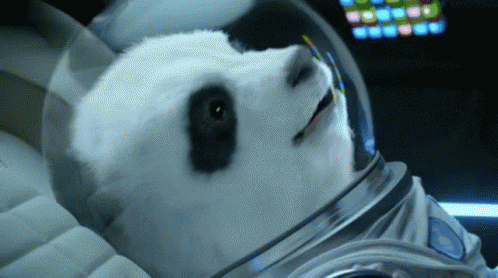 Thumbs Up Panda GIF - Thumbs Up Panda Bear GIFs