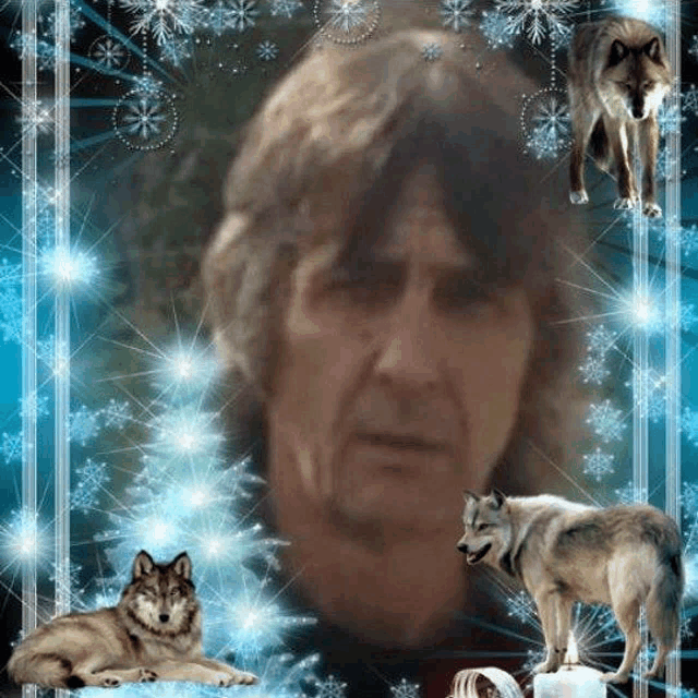 a man is surrounded by wolves and snowflakes with a candle in the foreground