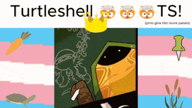 a poster that says turtleshell ts with a drawing of a turtle