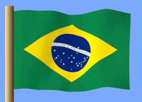 Brezilya Brazil Flag GIF - Brezilya Brazil Flag Brazil GIFs
