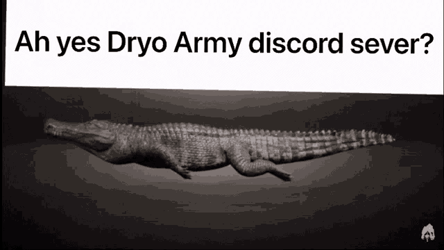 a picture of an alligator with the words ah yes dryo army discord sever
