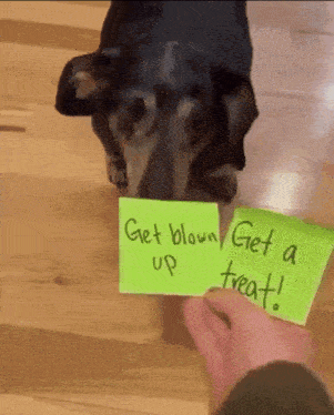 a dog holding a sign that says get blown up and get a treat