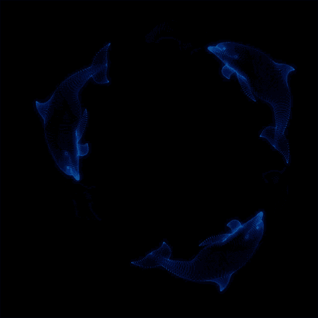 three dolphins are swimming in a circle in the dark
