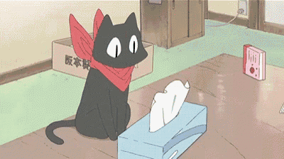 a black cat is sitting next to a box of tissues on a table .