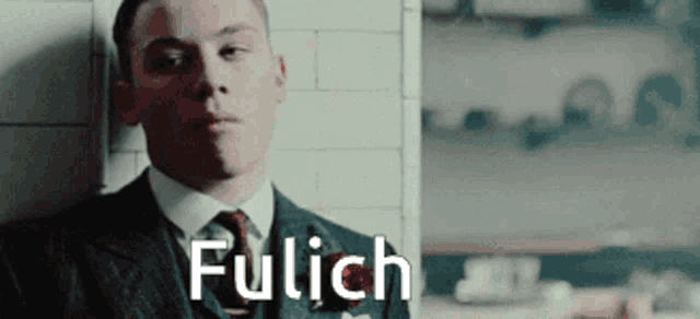 a man in a suit and tie is leaning against a wall with the word fulich written on the bottom of his face .