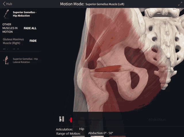 a screen showing muscles and bones with the words motion mode on the bottom