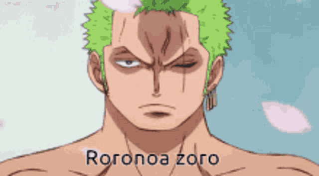 Zoro GIF