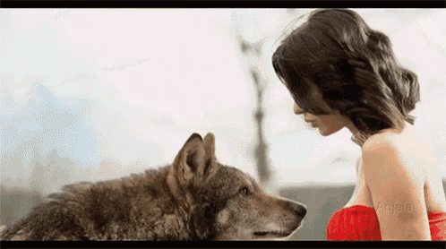 Wolf Redridinghood GIF