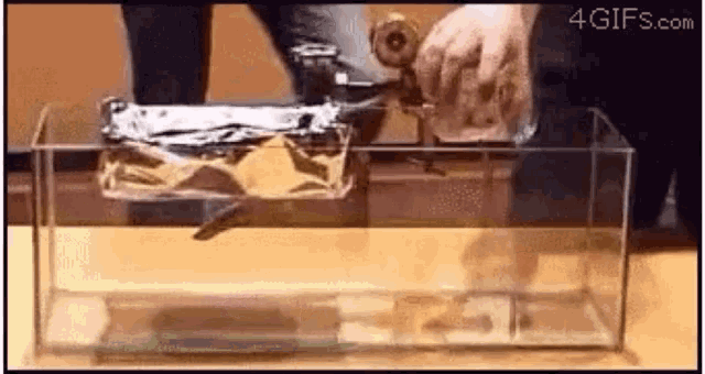 a person is holding a piece of tin foil over a fish tank .