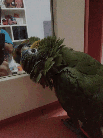 a green parrot with a yellow beak is eating leaves