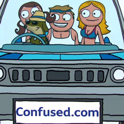 a cartoon of people in a car with the website confused.com