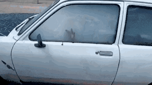 a white car with a hand sticking out of its window