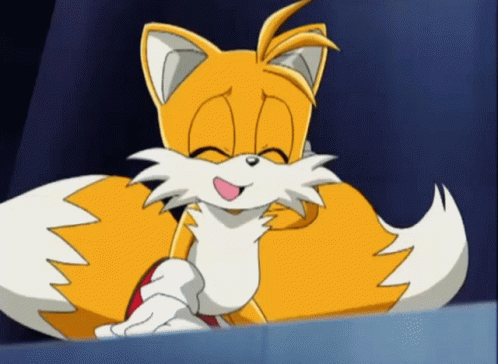 Sonic X Tails Happy Tails GIF - Sonic X Tails Happy Tails Wagging Tails GIFs