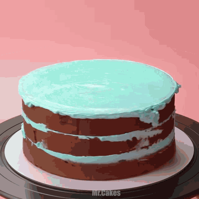 a chocolate cake with blue frosting and the words mr.cakes written on the bottom