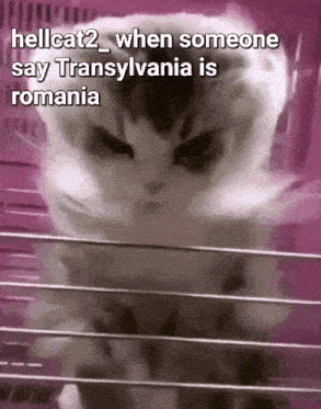 Fun Meme Memes GIF - Fun Meme Memes Romania GIFs