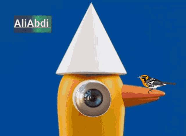 a yellow bird with a white cone on top and a bird on its beak with the name aliabdi on the bottom