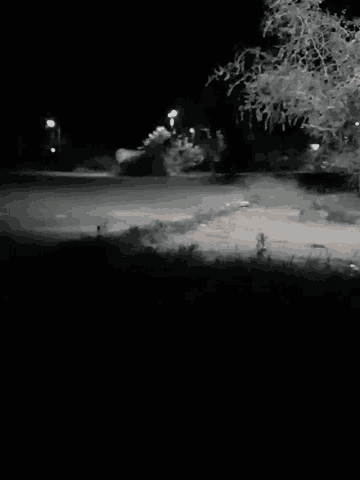 a black and white photo of a road at night with trees in the background .