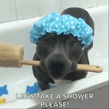 Shower Dog GIF