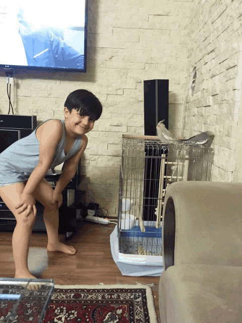 a young boy stands in front of a tv with a bird in a cage behind him