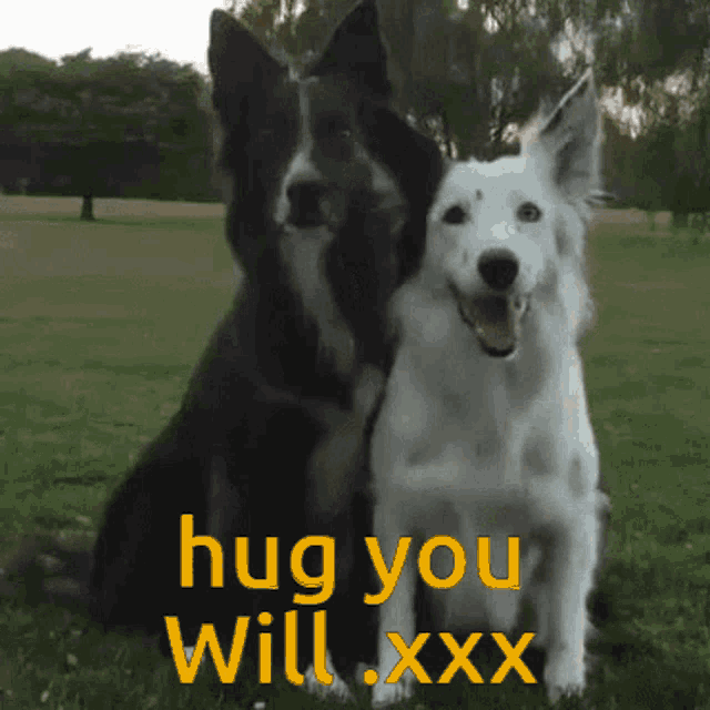 Hug Willx GIF - Hug Willx GIFs
