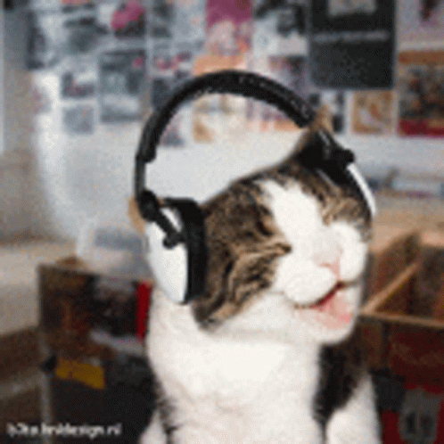 Gato Musical Gato Dj GIF - Gato Musical Gato Dj Happy GIFs