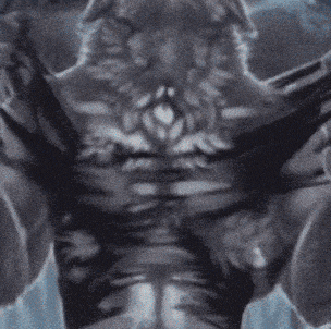a blurry picture of a person 's torso and legs