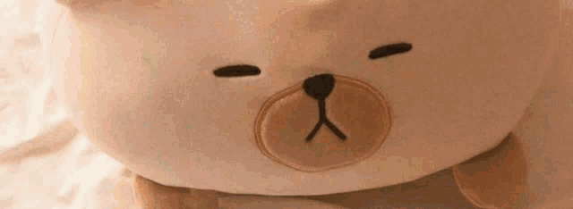 a close up of a stuffed animal with its eyes closed .
